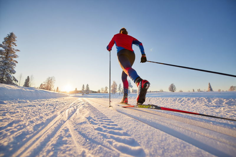 ed4519a43be396b0117004def9b81094